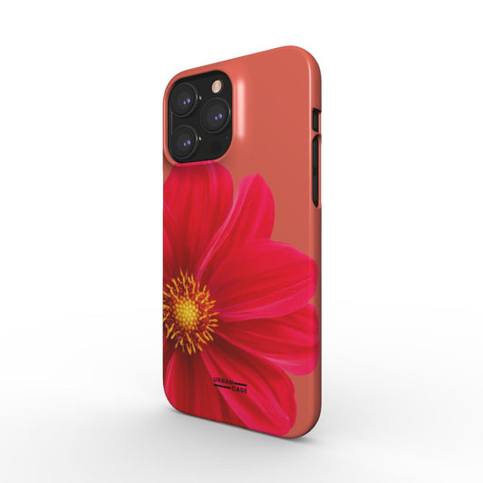 Double Red (ClickFit)